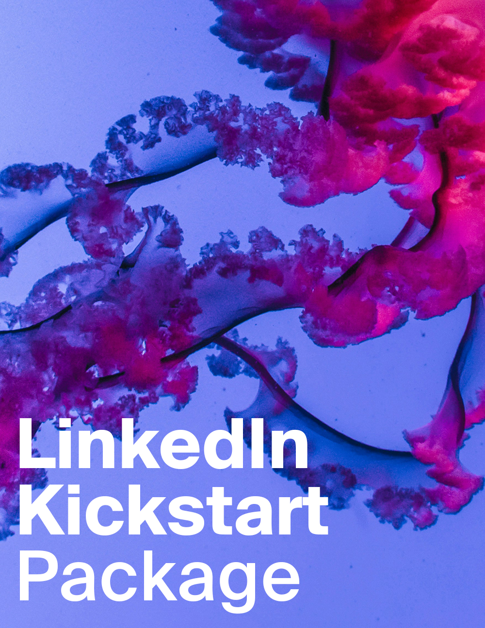 News_Linkedin_Qualle_Eng_hoch